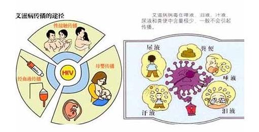 艾滋病的几个传播途径介绍（你知道艾滋病的传播途径吗）(3)