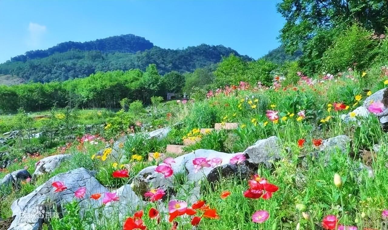 绵阳一日游最佳旅游景点(绵阳周边一日游必去景点推荐)