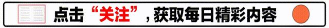 《模仿游戏》观后感（模仿游戏剧情详解）