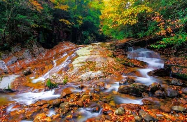 四川巴中十大旅游景点（巴中旅游景点推荐）