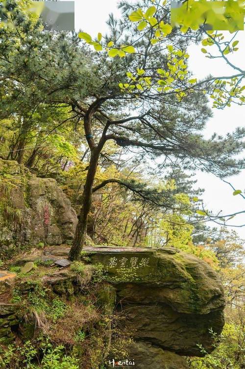 第二天：牯岭—大圣寺—三叠泉→花径→天梯→五老峰