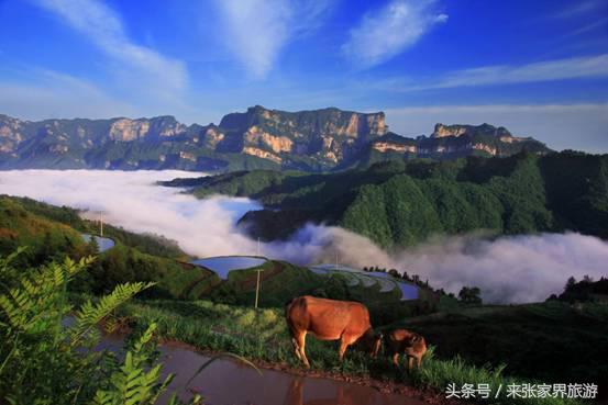 天门山在哪里(张家界天门山海拔多少米)