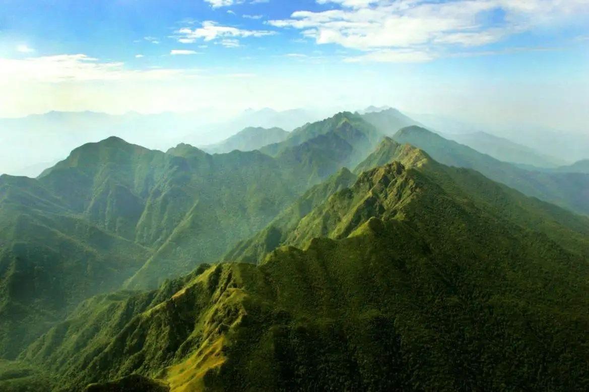 广西十万大山在哪里(十万大山为什么叫十万大山)