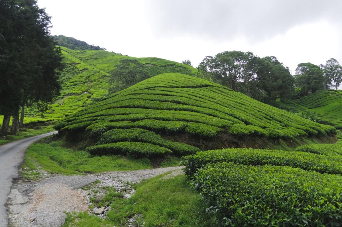 南方地区的范围(南方地区的地形)