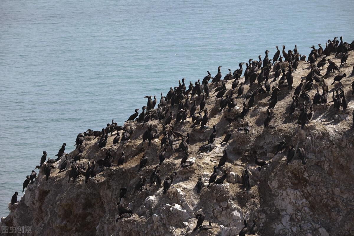 青海湖在哪里(青海湖海拔多少米)