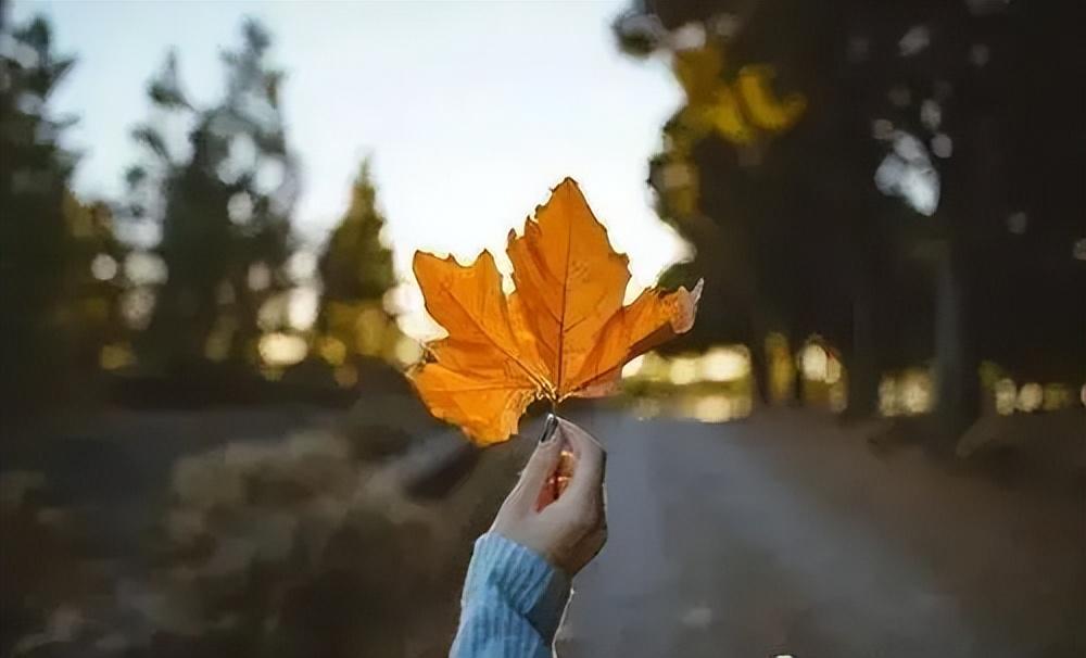 细节控是怎么样的人(细节控的女孩子性格表现)