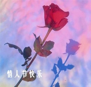 ​新年新气象牛年祝福语[44句] (牛年新年经典祝福语)