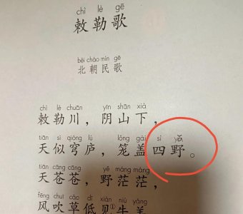 ​什么的正确读音（整体认读的读音）