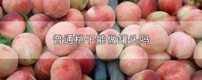 ​桃子如何做成罐头视频 桃子罐头制作方法