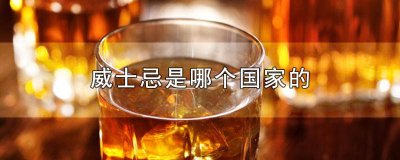 ​各国威士忌的区别 威士忌是什么国家的酒