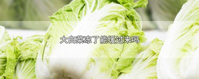 ​大白菜冻了怎么处理 大白菜可以放冷冻吗