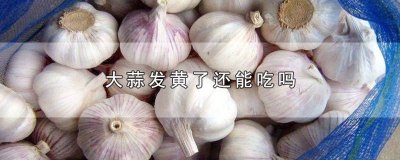 ​大蒜变黄了还可以吃吗 大蒜发黄还可以吃吗