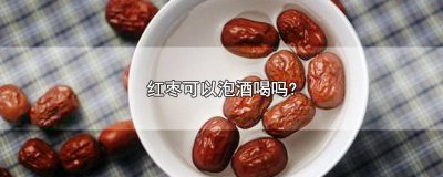 ​枸杞可以和红枣泡酒吗 枸杞加红枣可以泡酒吗