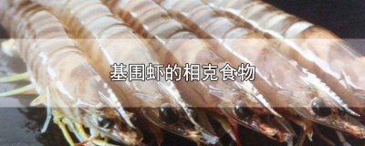 ​基围虾怎么做好吃视频教程 基围虾怎么做好吃视频