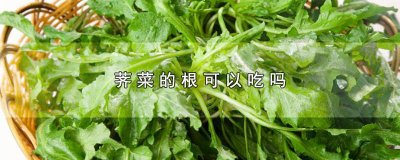 ​荠菜根可以生吃吗 荠菜的根儿能吃吗