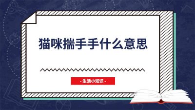 ​猫走丢了会不会自己回来 猫传腹早期最明显的症状