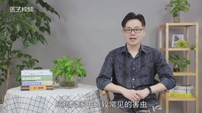 ​蟑螂都有什么危害图片 蟑螂都有什么危害症状