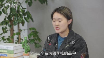 ​桂花开花在几月份 桂花开花的时间是什么时候