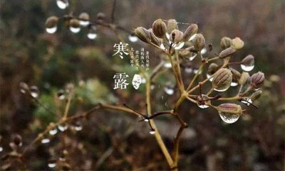 ​寒露是冬季节气吗 寒露属于秋季吗