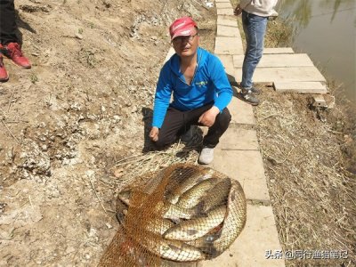 ​什么鱼吃玉米（玉米粒钓鱼挂钩方法和施钓技巧）