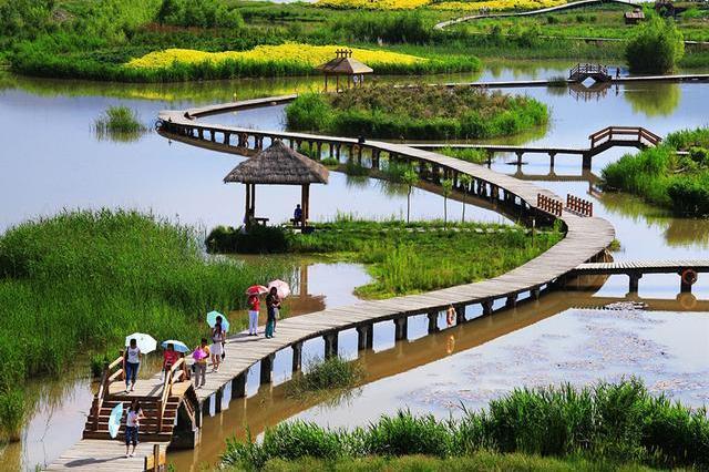 兰州唯一的黄河湿地公园-----银滩湿地公园，一定要去一次才好