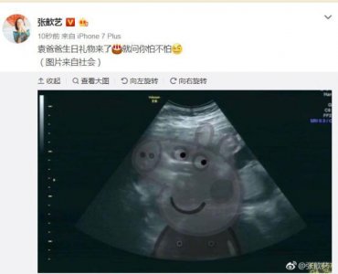 ​张歆艺宣布怀孕，身材比袁弘还壮，女明星怀孕长肉好可怕