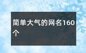 简单大气的网名160个