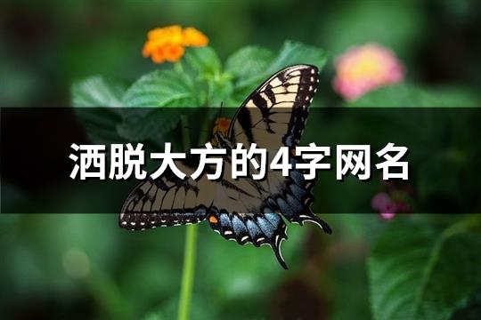 洒脱大方的4字网名(精选142个)