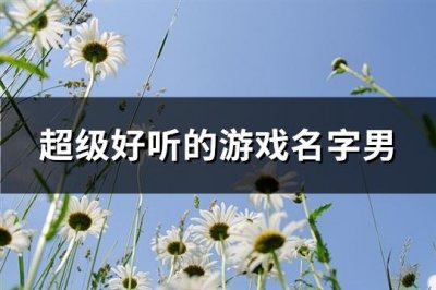 ​超级好听的游戏名字男(278个)