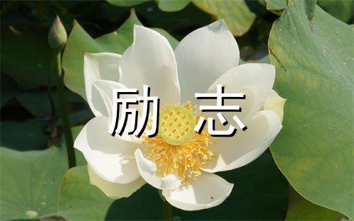 九九重阳节祝福语大全 重阳节句子大全祝福语