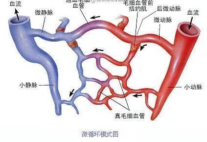 糖尿病有救吗？专家表示：这项科研未尝不可！