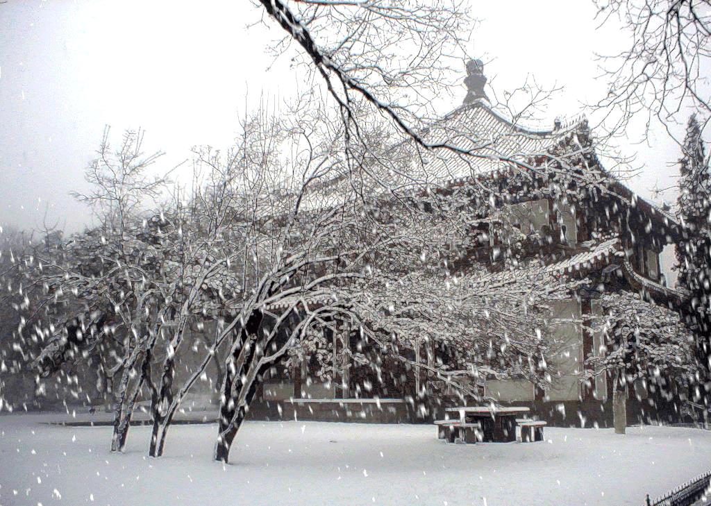 下雪啦！河南今冬第一场雪飘在了这里……郑州什么时候下雪？