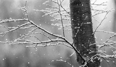 ​下雪啦！河南今冬第一场雪飘在了这里……郑州什么时候下雪？