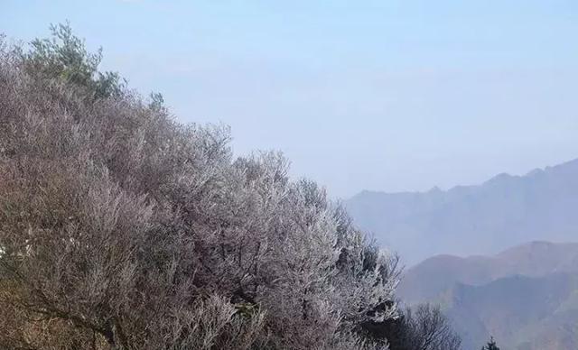 下雪啦！河南今冬第一场雪飘在了这里……郑州什么时候下雪？