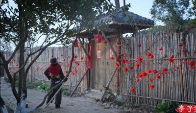 ​19张图看完李子柒家院子的风景