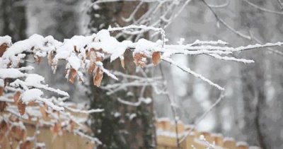 ​10年了！2008郴州特大雪灾，你还记得吗？