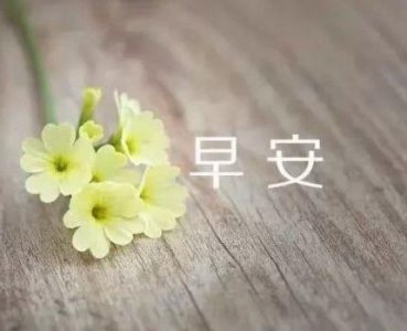 ​2025教师节贺卡祝福语(精选74条)