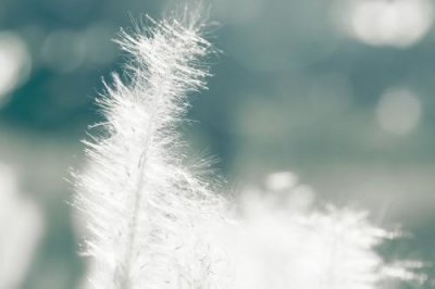 ​幼儿园家长给老师的新年祝福语(精选61条)