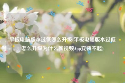 ​平板电脑版本过低怎么升级(平板电脑版本过低怎么升级为什么就视频App安装不起